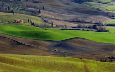 rolling-hills-scaled-1-400x250 – Corradi & Ghisolfi blog | rolling-hills-scaled-1-400x250 | Corradi & Ghisolfi