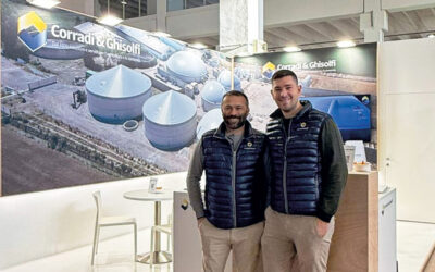 FAZI-ig-400x250 – Corradi & Ghisolfi blog | FAZI-ig-400x250 | Corradi & Ghisolfi