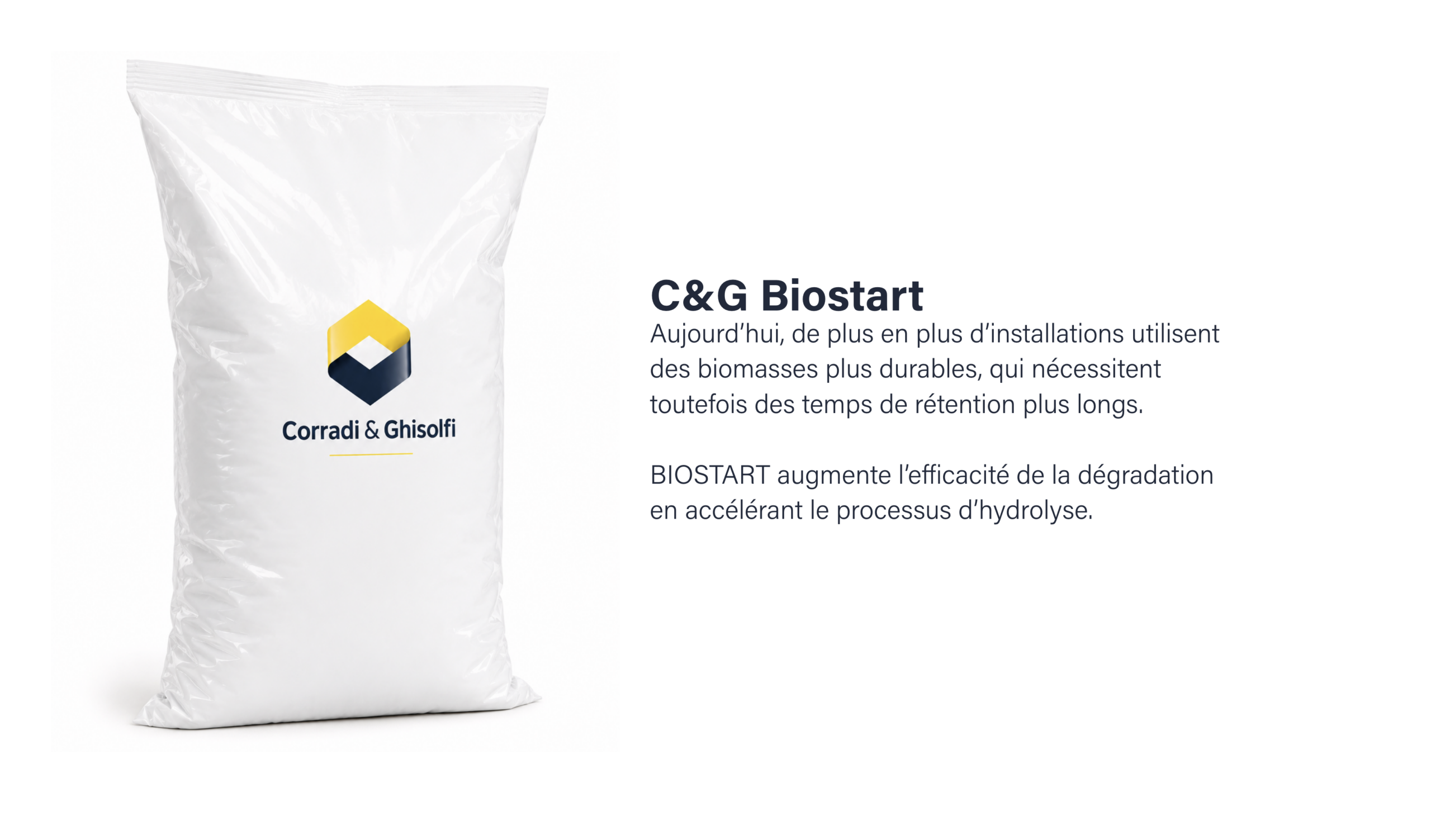 Biologie | Enzimi-FR-scaled | Corradi & Ghisolfi
