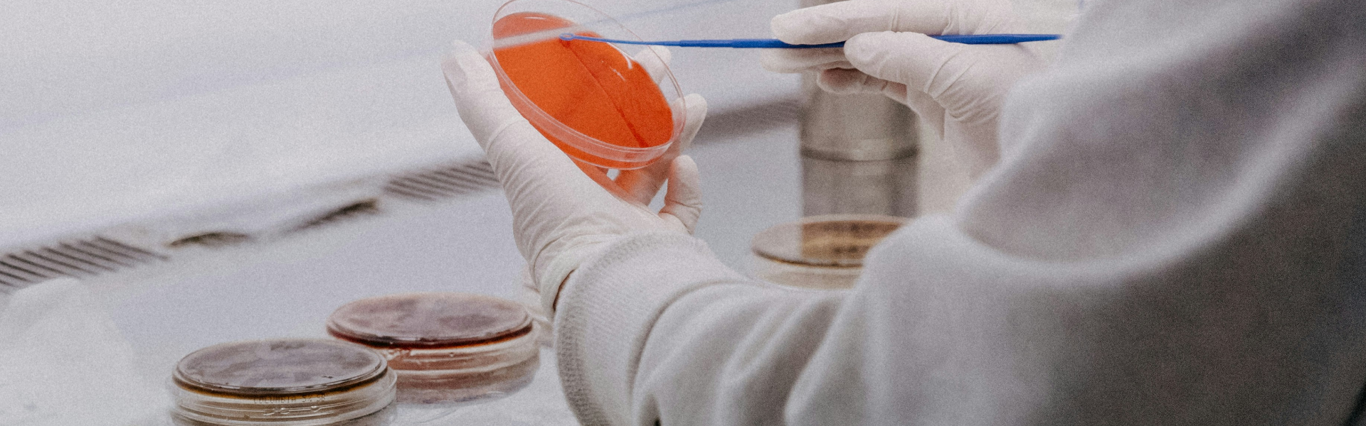 Biologia | apertura-laboratorio | Corradi & Ghisolfi